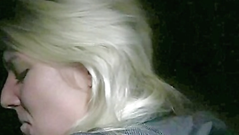 Arousing cock sucking pleasures Arousing cock sucking pleasures