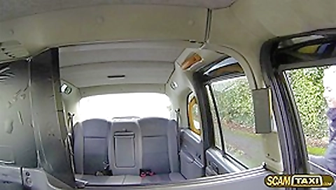 Damn babe Lickys pussy gets fucked in the backseat Damn babe Lickys pussy gets fucked in the backseat