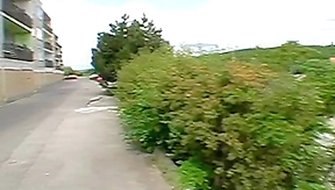 Wild blowjob outdoors Wild blowjob outdoors