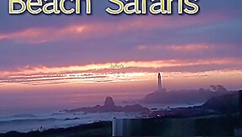 Rafians Beach Safaris 27 Rafians Beach Safaris 27