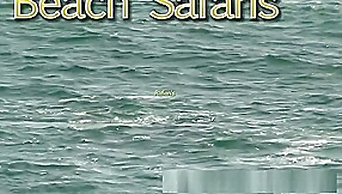 Rafians Beach Safaris 32 Rafians Beach Safaris 32