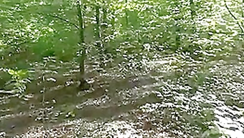 Stranger join fuck wench wife in woods