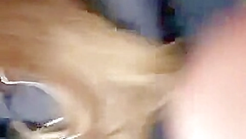 bus dick flash bus dick flash