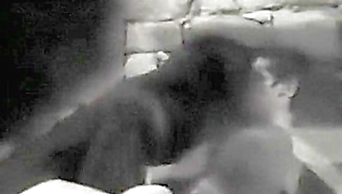 CLIP #76 _ Voyeurismo Public Sex_2