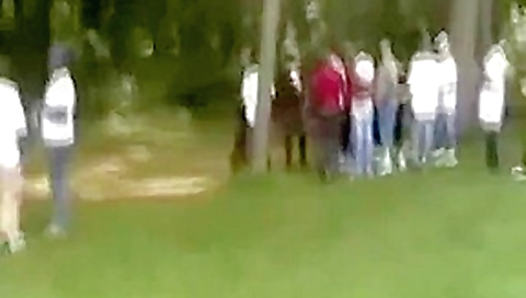 whores in a park whores in a park