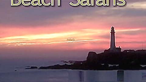 Rafians Beach Safaris 23 Rafians Beach Safaris 23