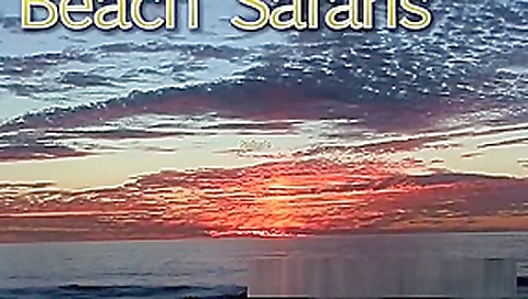 Rafians Beach Safaris 33 Rafians Beach Safaris 33