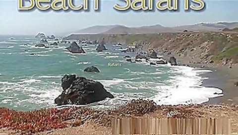 Rafians Beach Safaris 21 Rafians Beach Safaris 21