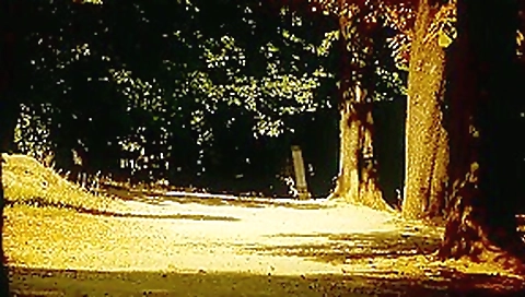 Sophie Lynx Jogging Girl Sophie Lynx Jogging Girl