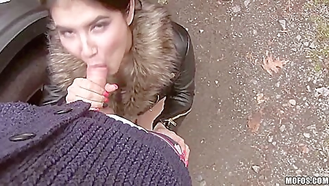 Czech Honeys Roadside Sex Tape - Lady Dee Czech Honeys Roadside Sex Tape - Lady Dee