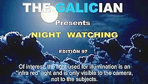 Galician Night 97