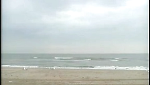 Dutch Beach Whore acquire a Hard Fuck an Anal Dutch Beach Whore acquire a Hard Fuck an Anal