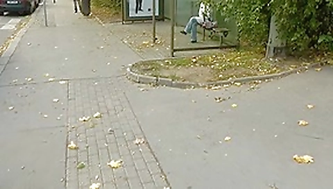 Adventurous golden-haired goes for public sex