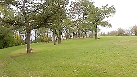 Outdoor fuck with a nasty brunette
