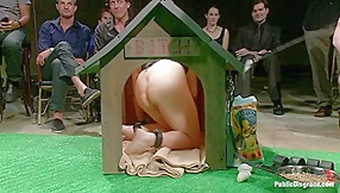 Puppy love Chubby pet turned obedient bitch