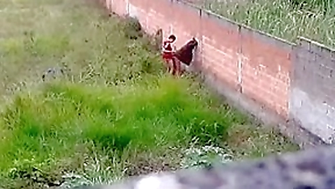 immature couple caught fucking outside immature couple caught fucking outside